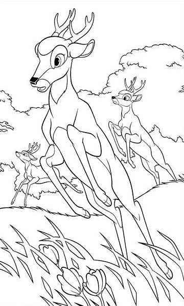 kolorowanka Bambi malowanka do wydruku Disney z bajki dla dzieci nr 40